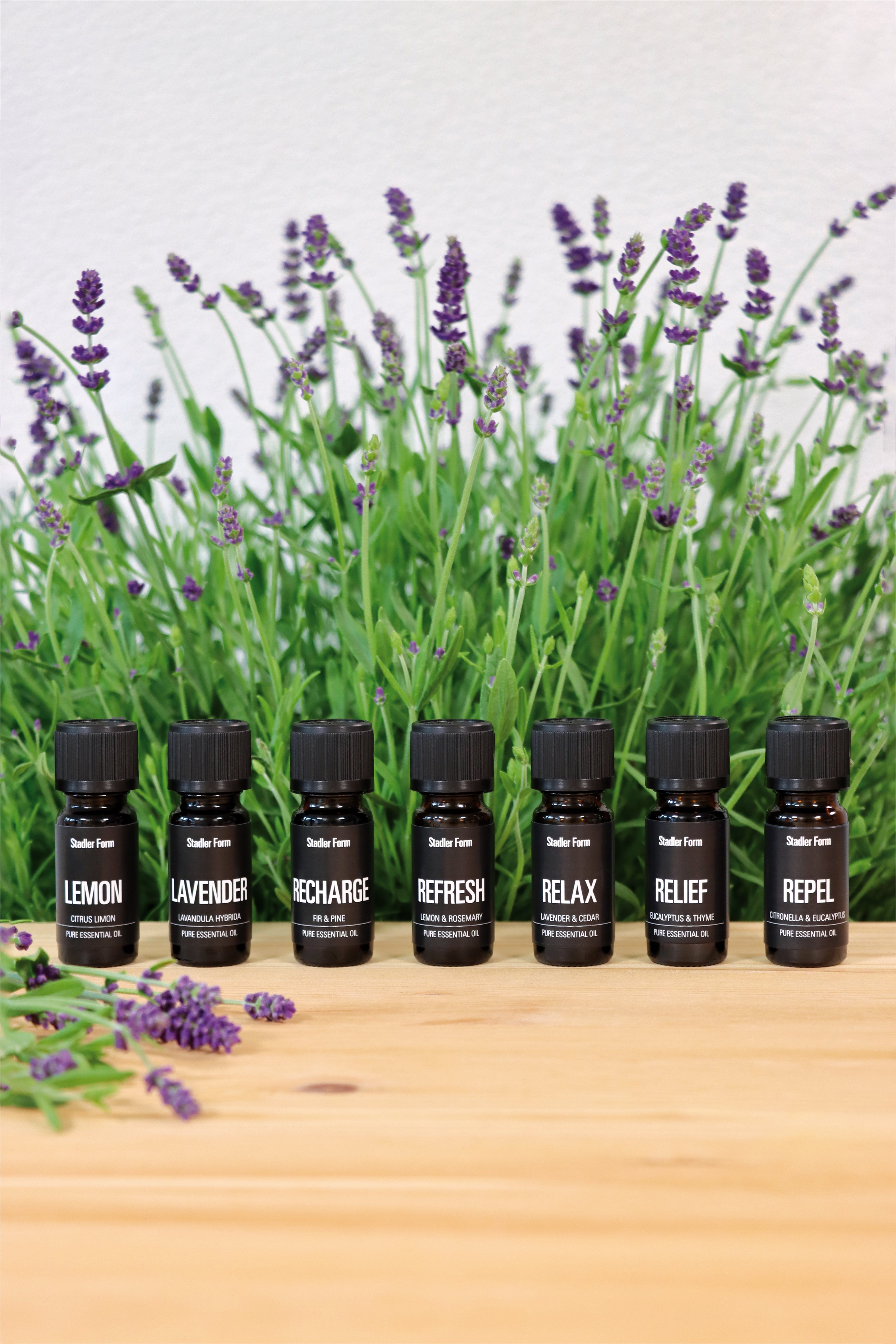 Essential oil Lavender