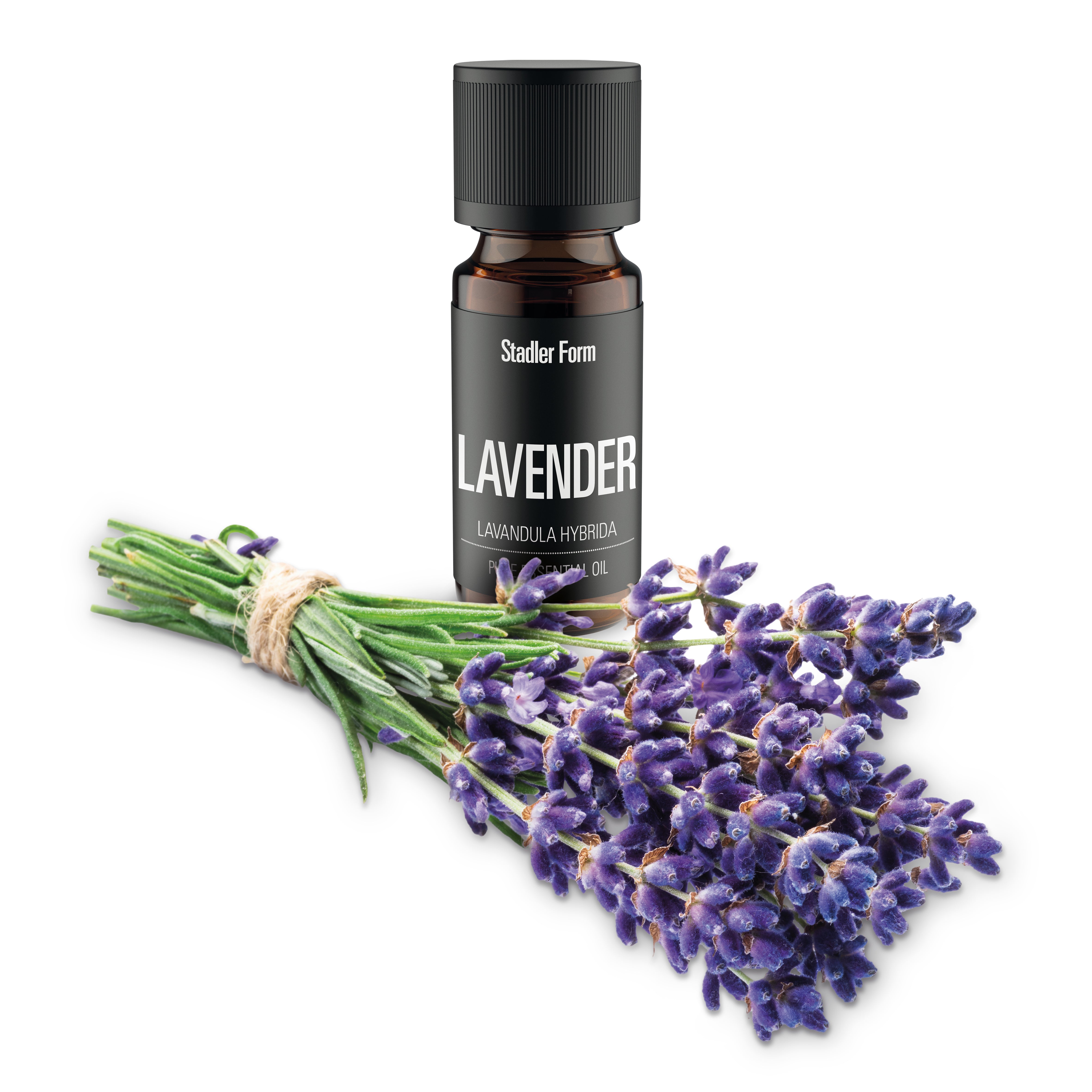 Essential oil Lavender