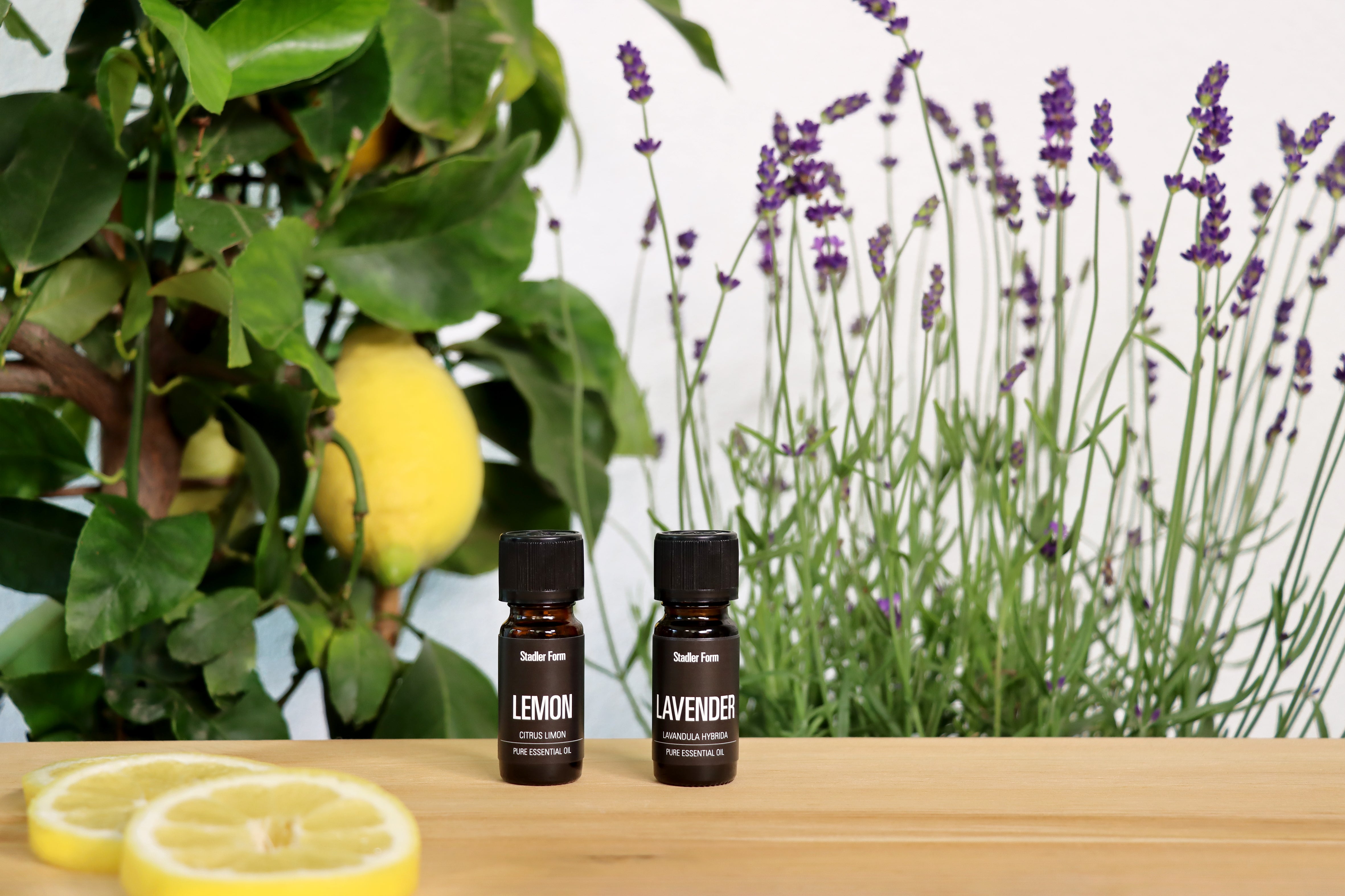 Essential oil Lavender