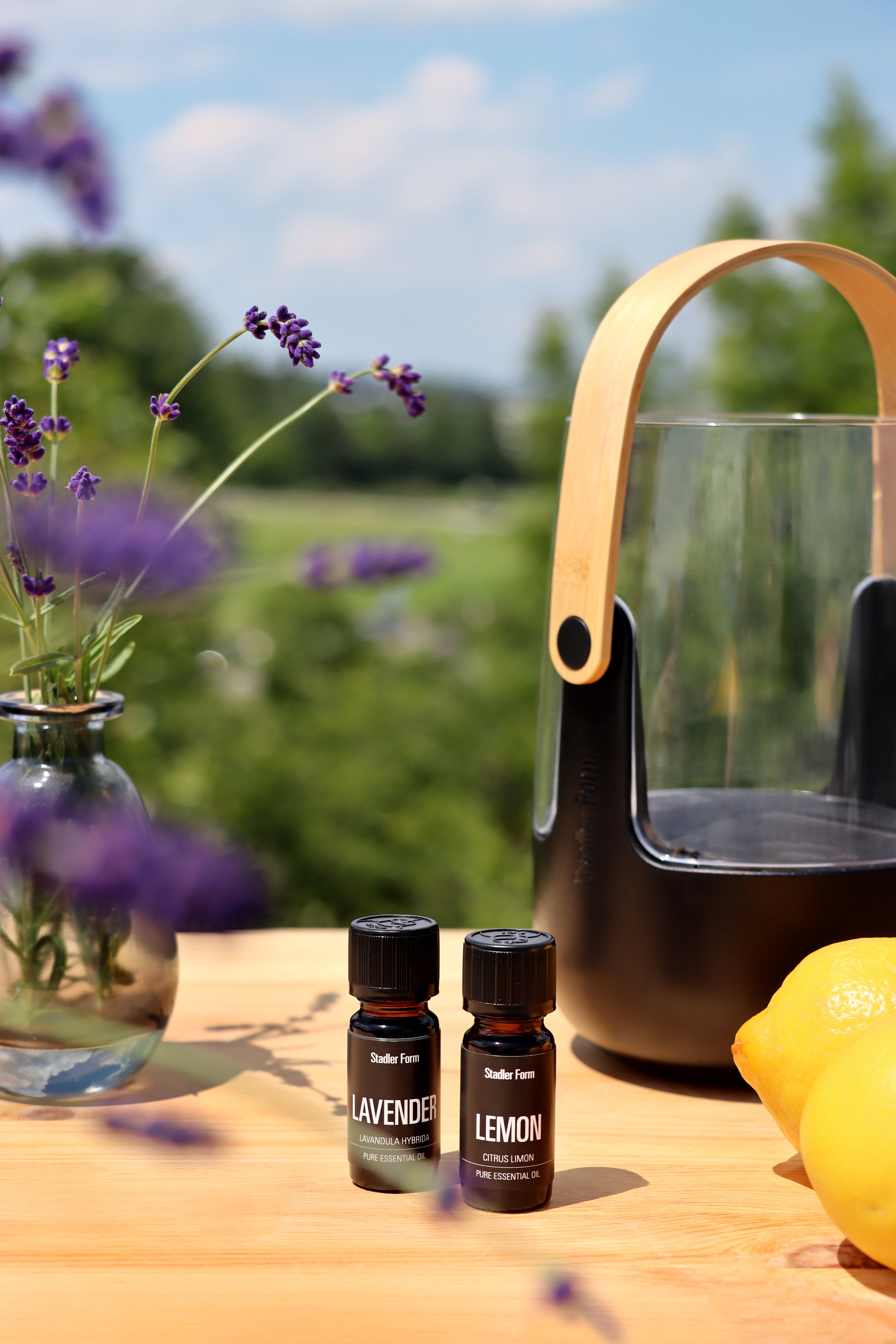 Essential oil Lavender