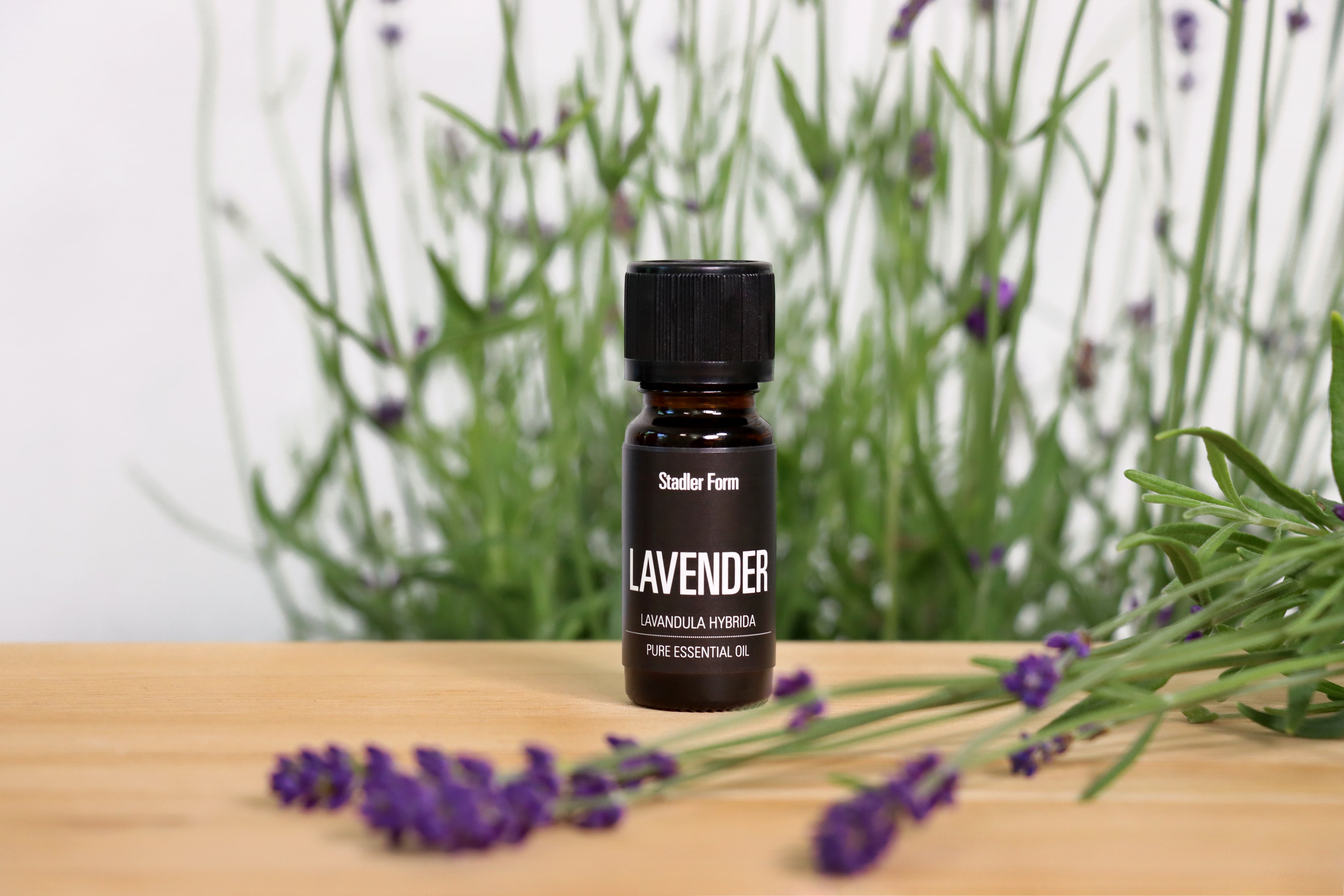 Essential oil Lavender