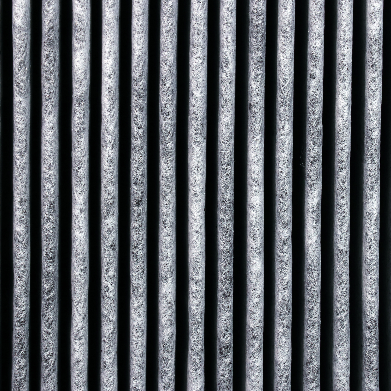 Roger little Dual Filter H12